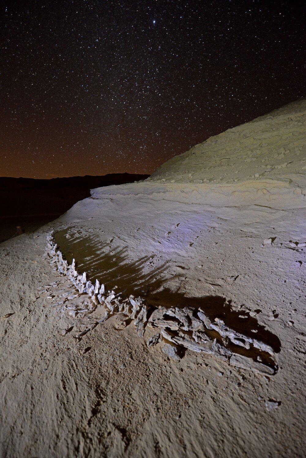 Wadi El-Hitan Digital Platform Project