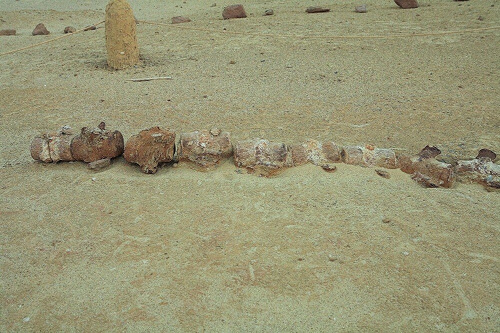 Wadi El-Hitan Digital Platform Project